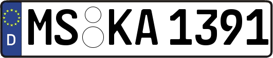 MS-KA1391
