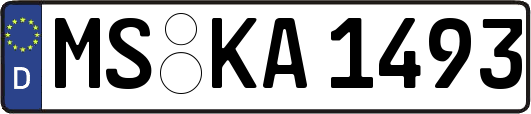 MS-KA1493