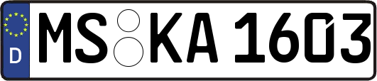 MS-KA1603