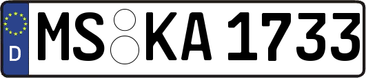 MS-KA1733