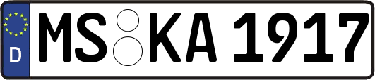 MS-KA1917
