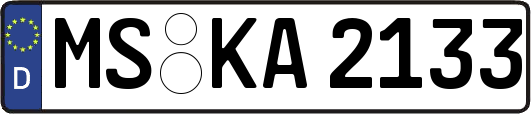 MS-KA2133