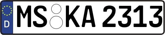 MS-KA2313