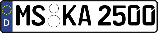 MS-KA2500