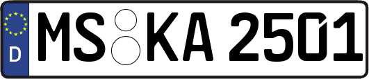 MS-KA2501