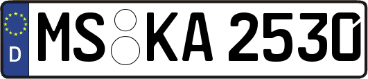 MS-KA2530
