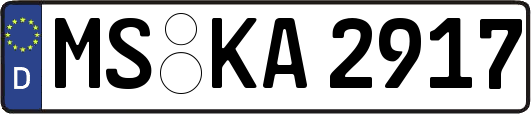 MS-KA2917