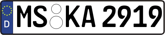 MS-KA2919