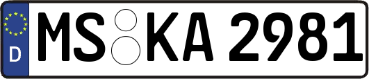 MS-KA2981