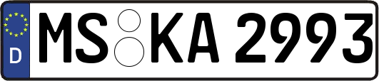MS-KA2993