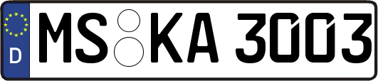 MS-KA3003