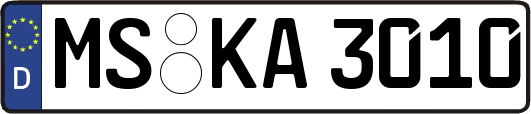 MS-KA3010