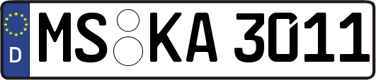 MS-KA3011