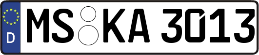 MS-KA3013