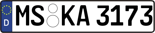 MS-KA3173