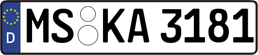 MS-KA3181