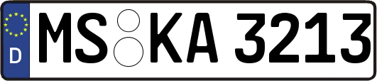 MS-KA3213