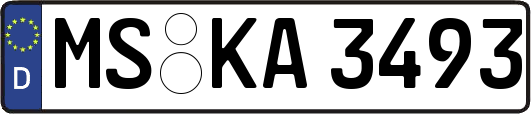 MS-KA3493