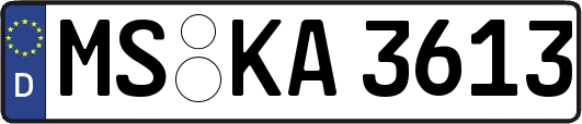 MS-KA3613