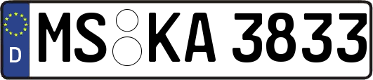 MS-KA3833