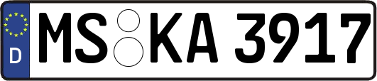 MS-KA3917