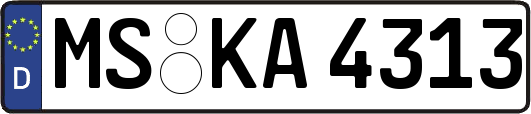 MS-KA4313