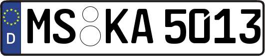 MS-KA5013