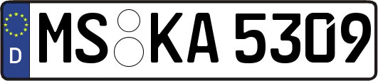 MS-KA5309