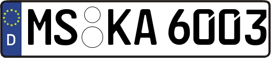 MS-KA6003