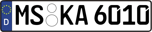 MS-KA6010