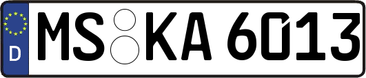 MS-KA6013
