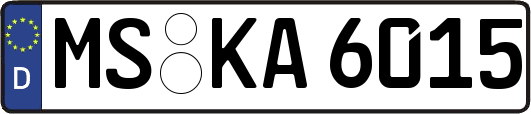 MS-KA6015