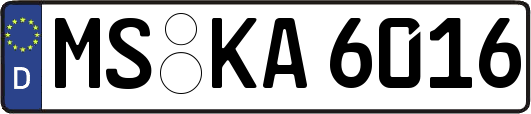 MS-KA6016