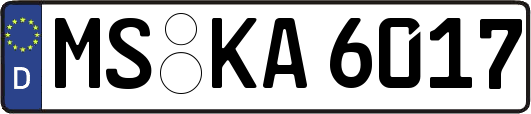 MS-KA6017