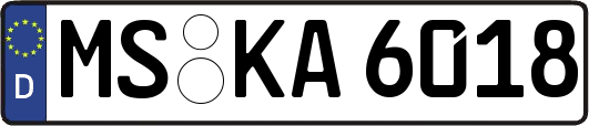 MS-KA6018
