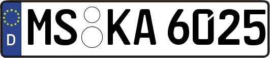 MS-KA6025