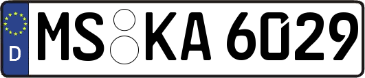 MS-KA6029