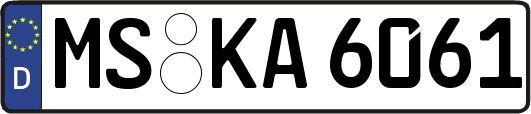 MS-KA6061