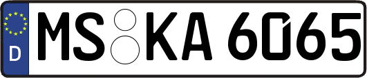 MS-KA6065