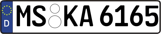 MS-KA6165