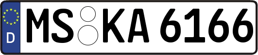 MS-KA6166