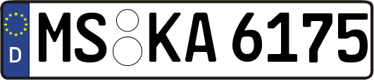 MS-KA6175