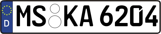 MS-KA6204