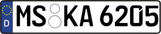 MS-KA6205