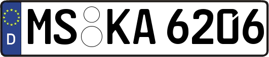 MS-KA6206