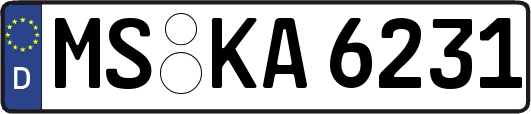 MS-KA6231