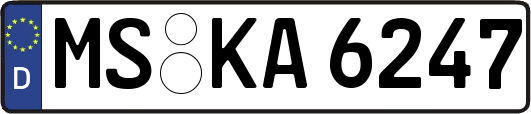 MS-KA6247