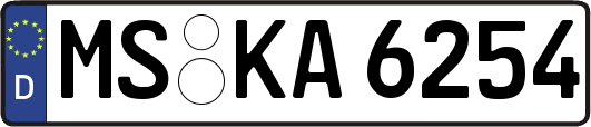 MS-KA6254