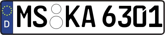 MS-KA6301