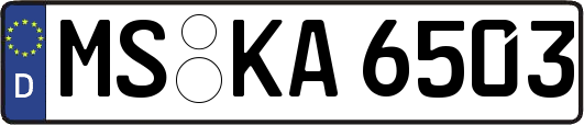 MS-KA6503